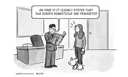 Landmark 2022 Arizona Supreme Court ruling on CC&Rs