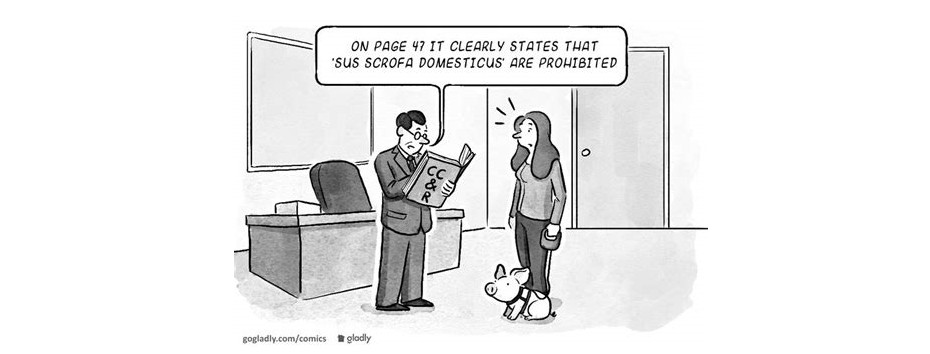 Landmark 2022 Arizona Supreme Court ruling on CC&Rs