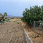 A veggie plot currently not planted.