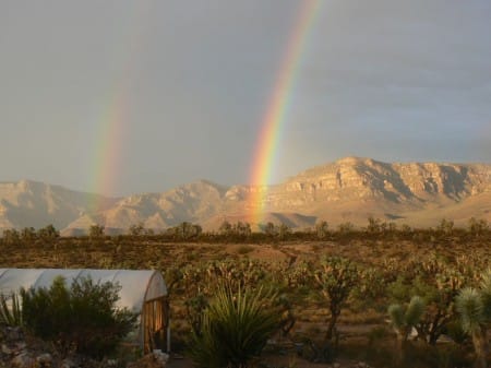 8-22-12--double-rainbow 8/22/12: double rainbow after REAL rain