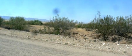 5-24-13-next-to-Rhodes-farm