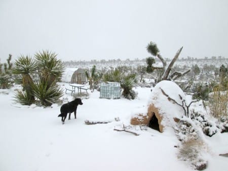 1-31-14-snow-hoophouse