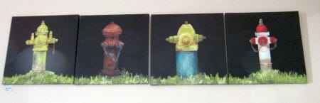 3-9-16-Lee-fire-hydrants