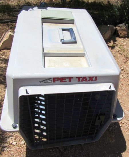 Pet-taxi