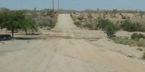 8-24-15--Tamerisk-Glenn