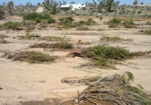 8-24-16--Greentree-wash-2